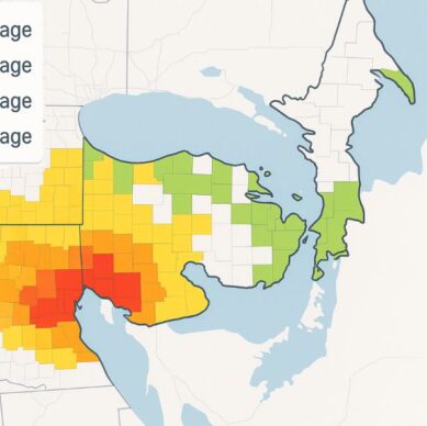 Consumers Energy outage map